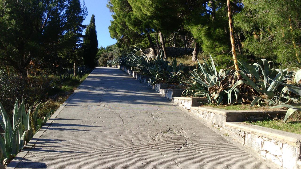 Apartament Bella